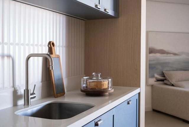 a close up photo of a kitchen sink and worktop